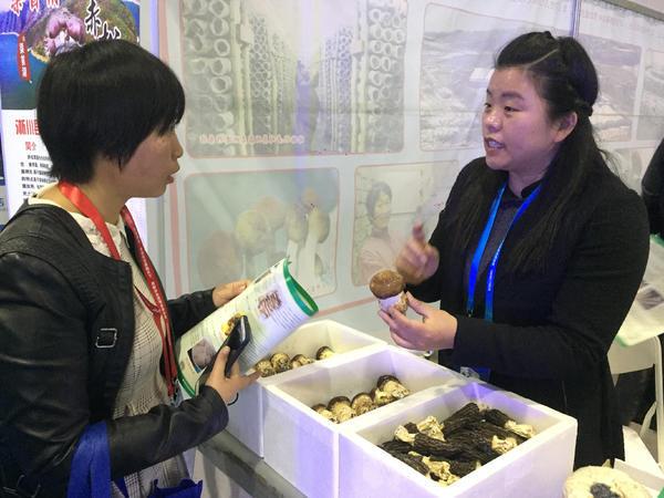 为2019中国(三门峡)国际食用菌新产品新技术博览会暨羊肚菌林下经济